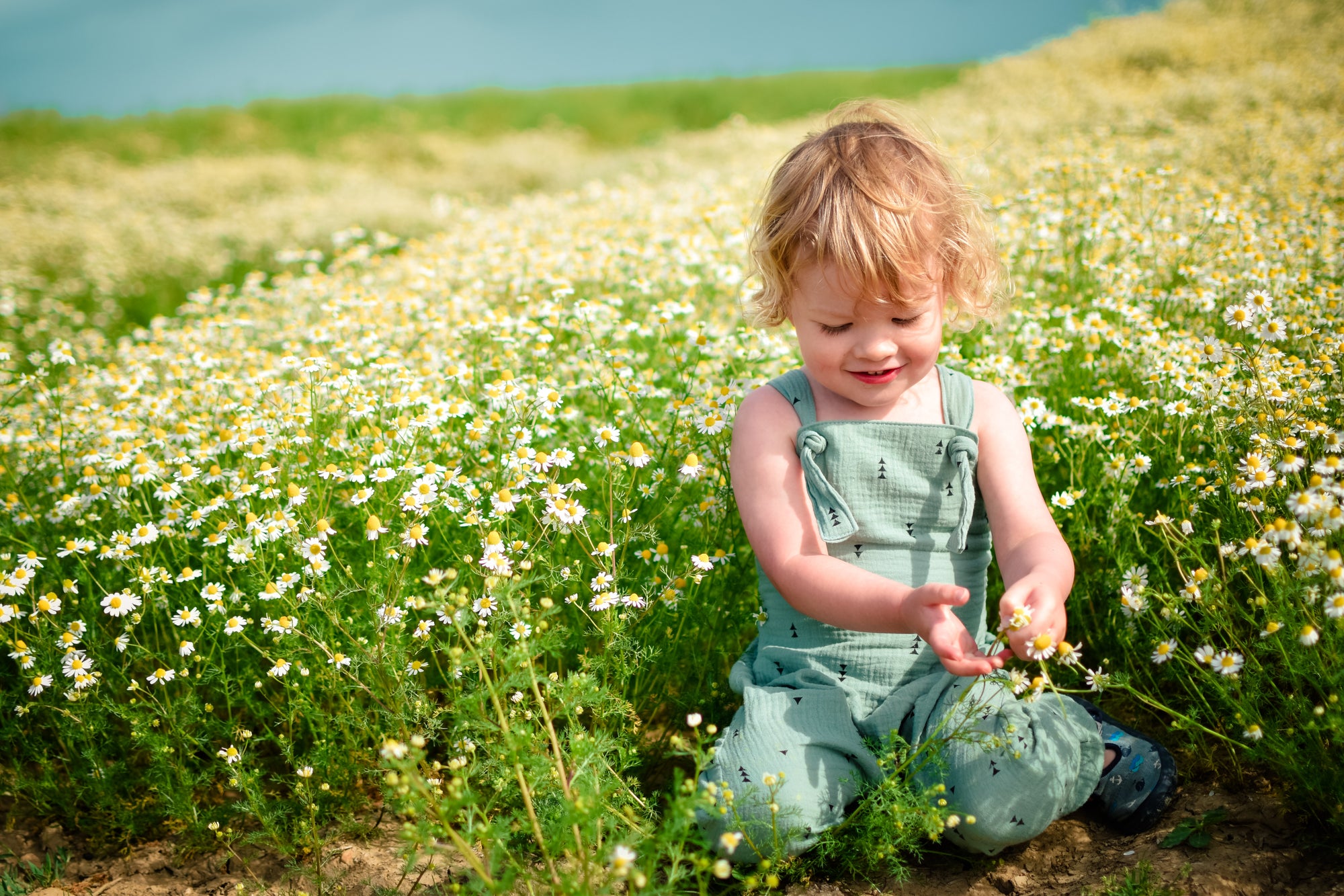 PDF Pattern - Wild and Free Dungarees - Child | Waves & Wild