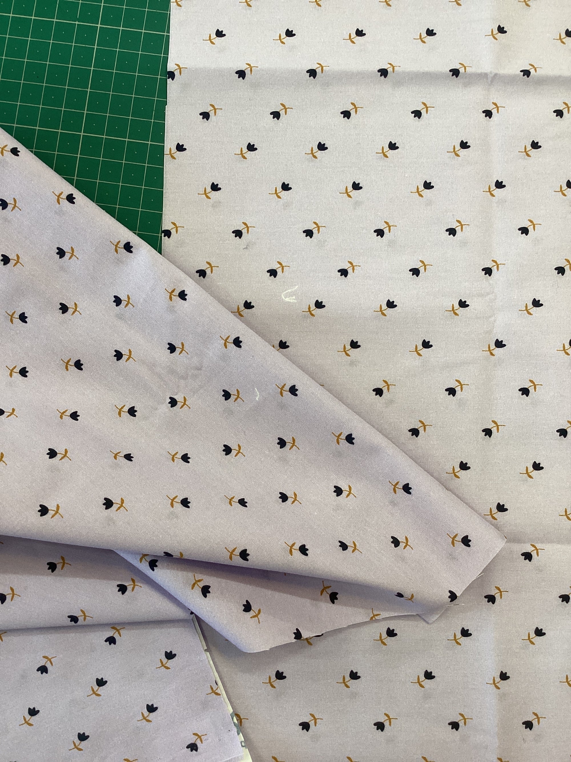 Madame Iris - Organic Cotton Poplin - Aurora