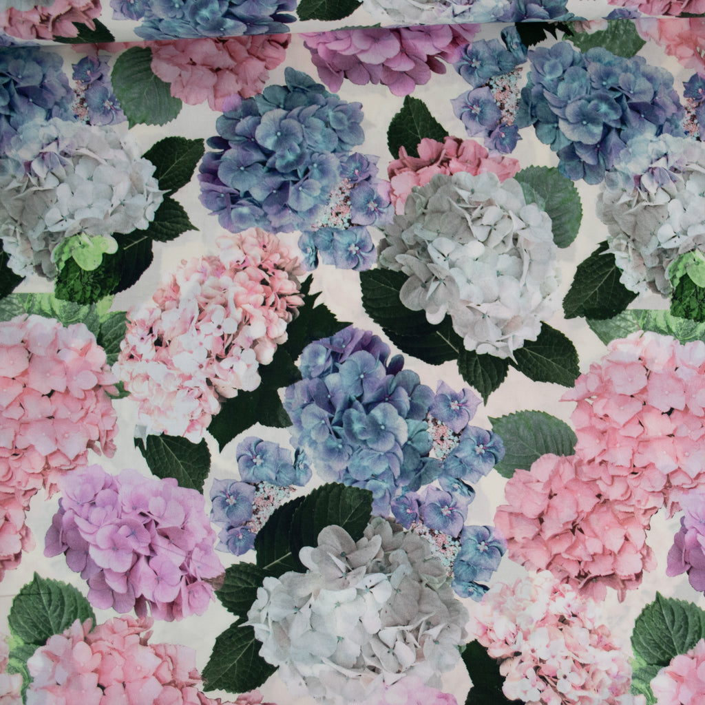 Lady McElroy - Cotton Lawn - Hydrangea Story - White