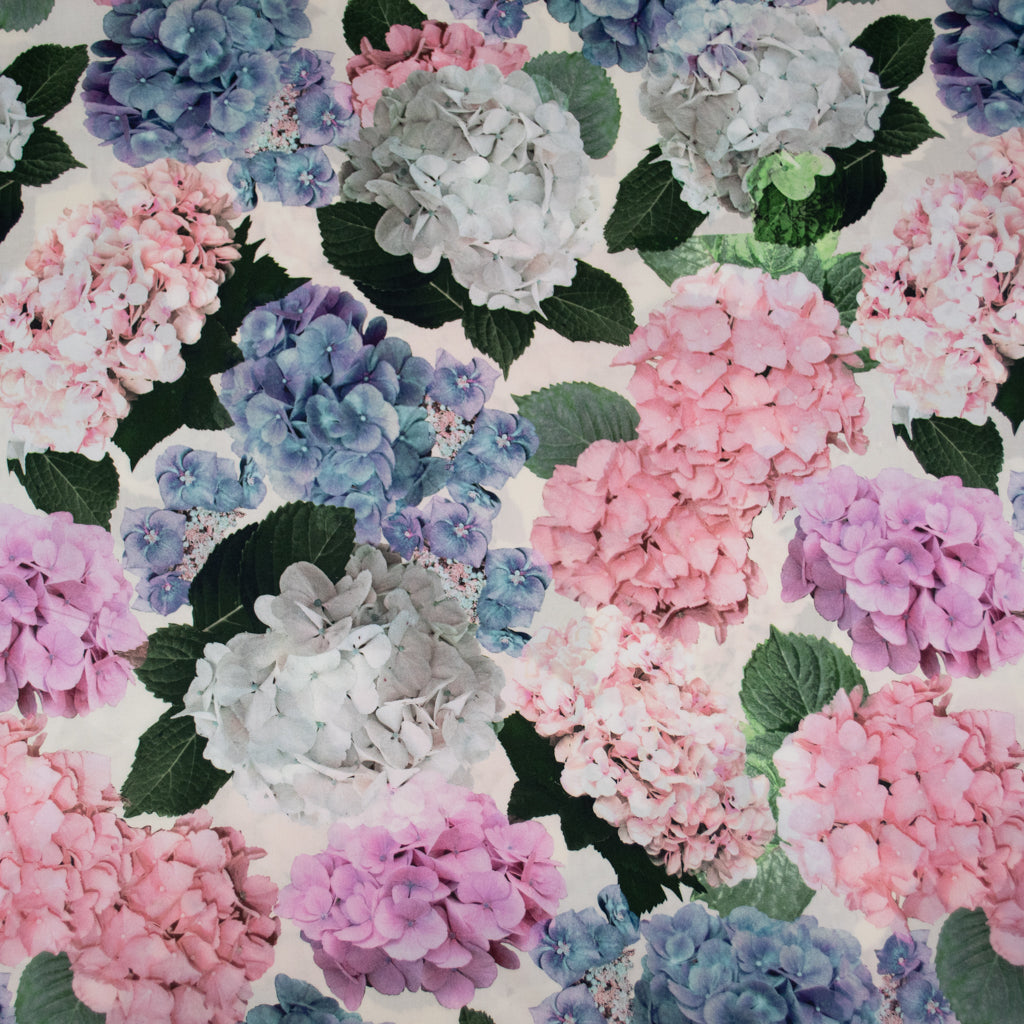 Lady McElroy - Cotton Lawn - Hydrangea Story - White