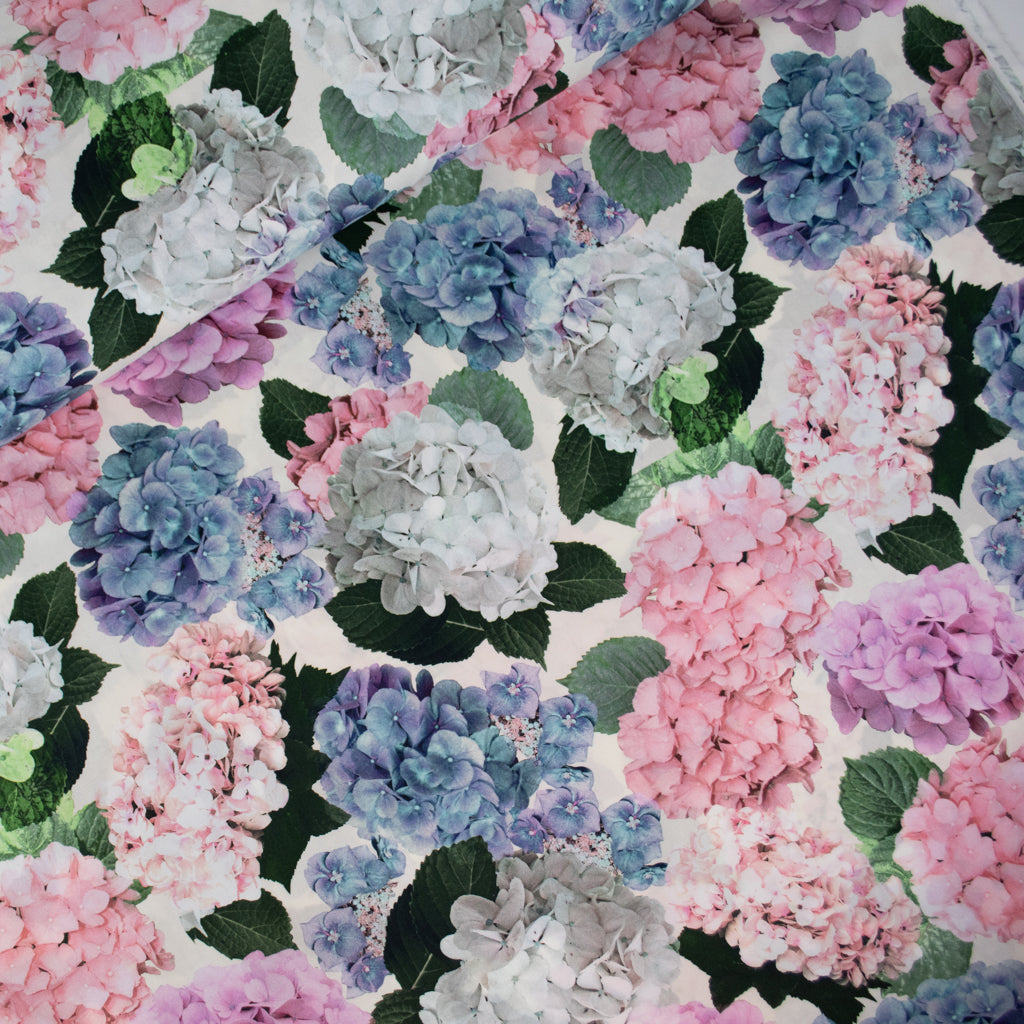 Lady McElroy - Cotton Lawn - Hydrangea Story - White