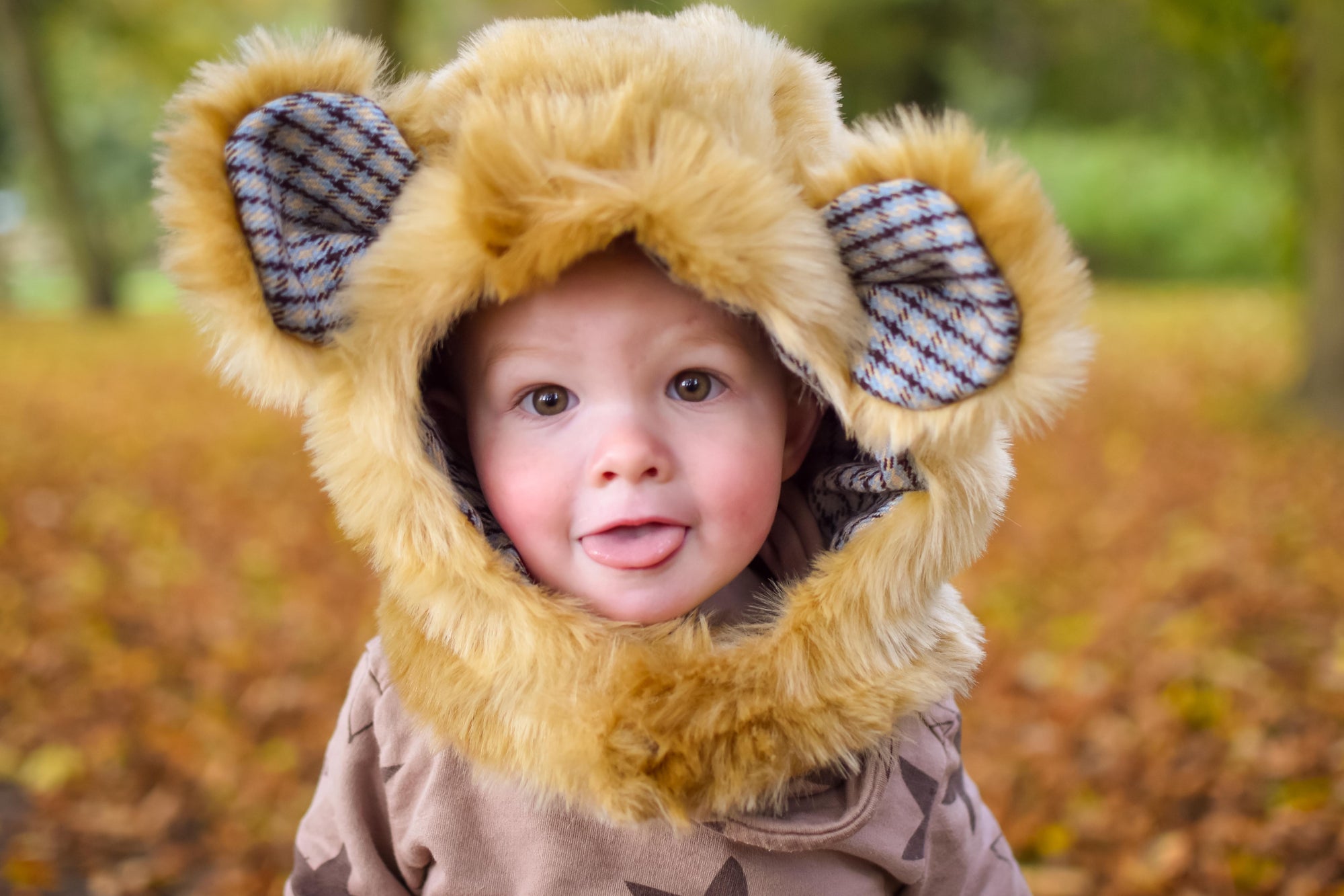 PDF Pattern - Charlie Bear & Friends Hood | Waves & Wild