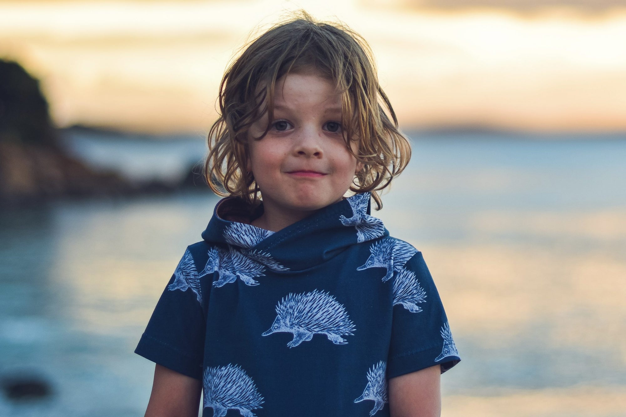 PDF Pattern - Eclipse T-Shirt and Dress | Waves & Wild