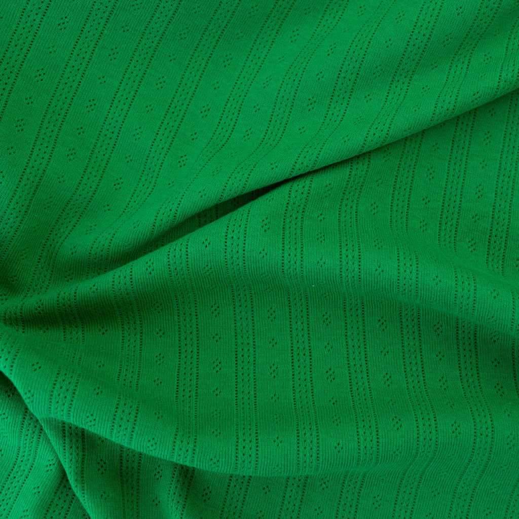 Pointelle Cotton Jersey - Stripes - Grass Green