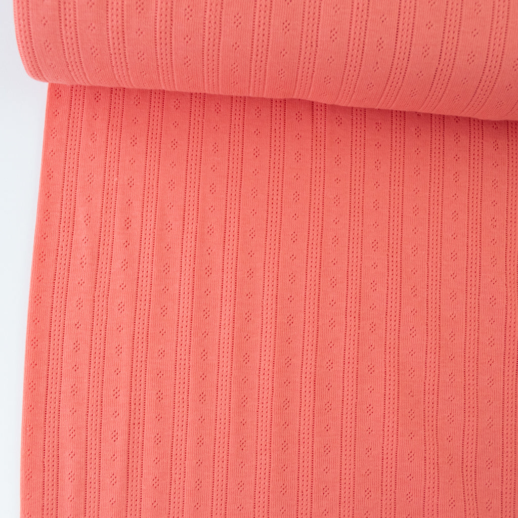 Pointelle Cotton Jersey - Stripes - Coral