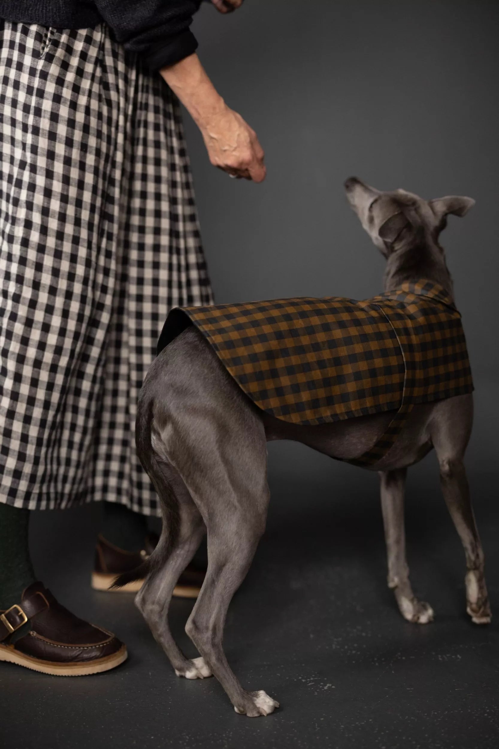 PDF Pattern - Barka Dog Coat | Merchant & Mills