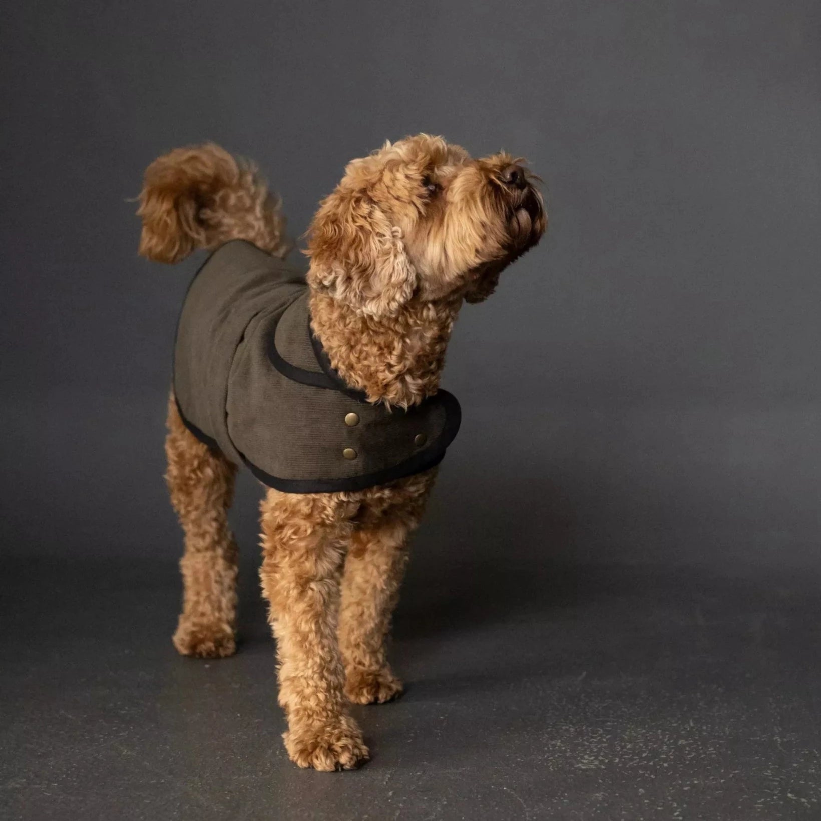 PDF Pattern - Barka Dog Coat | Merchant & Mills