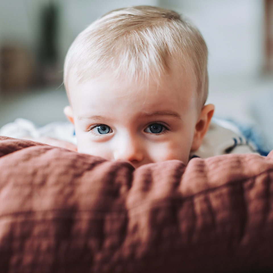 See You At Six - Quilted Knit - Rum Raisin Brown