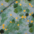 Marsh Marigolds