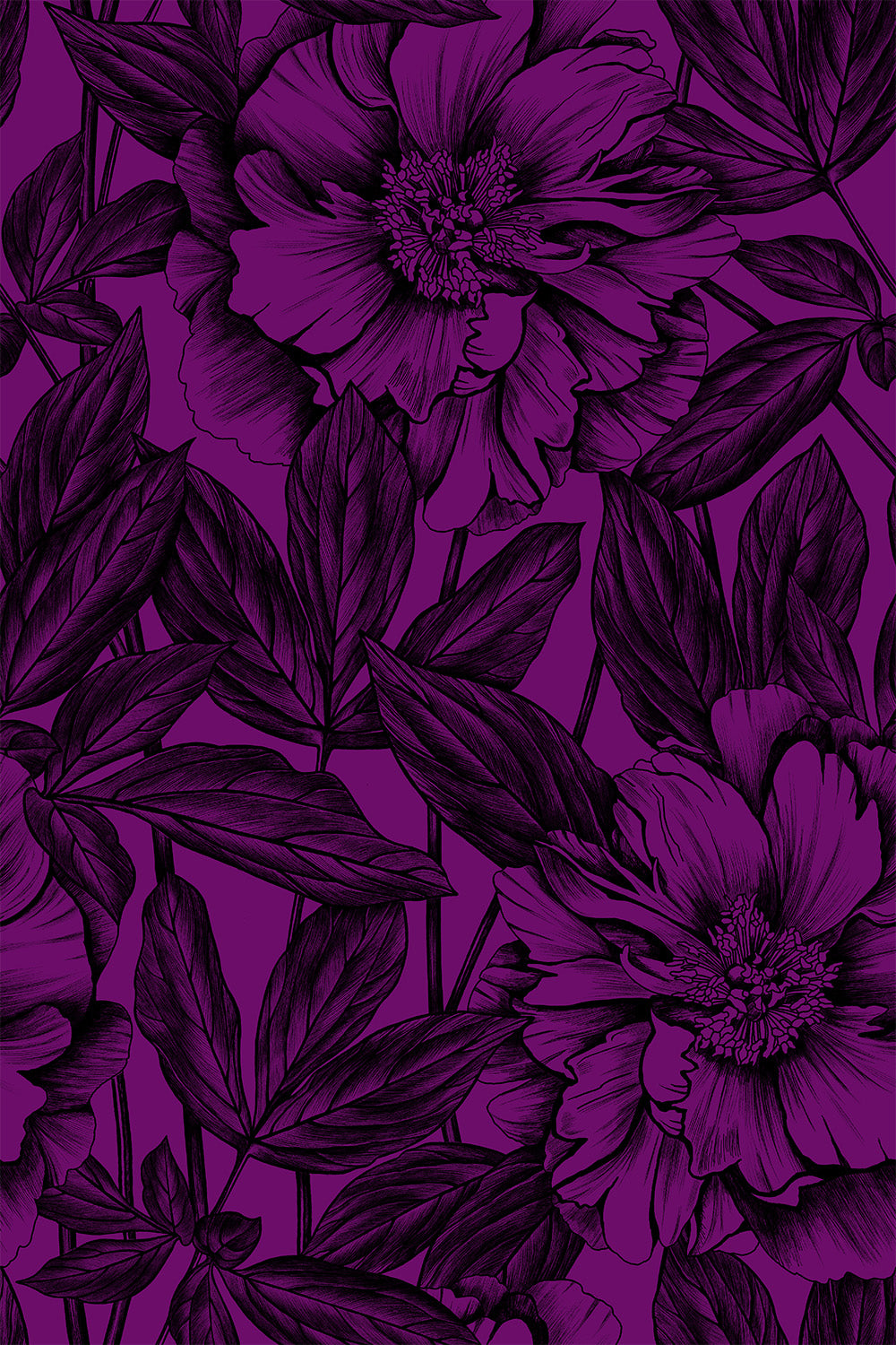 Johanna Ralph | Peonies Purple | Cotton Sateen