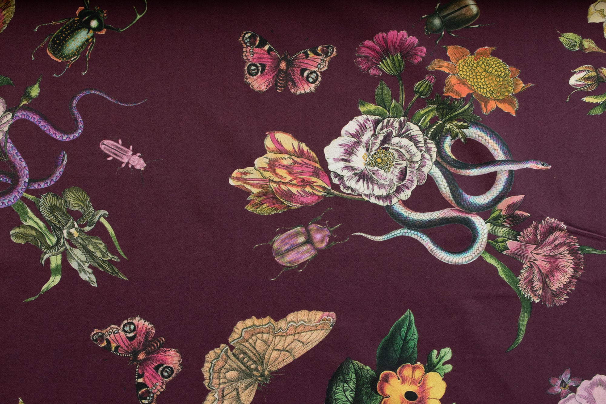 Lady McElroy - Cotton Lawn - Cobra Corsage - Mulberry